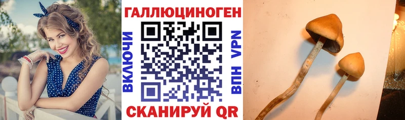 Галлюциногенные грибы ЛСД  Трёхгорный 